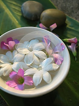 Jasmine Aroma Treatment