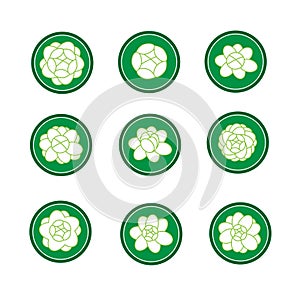 Jasmine banner in a green cirle vector