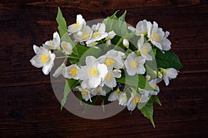 Jasmine bouquet on a dark rough wooden background. A bouquet of white flowers on a dark background.