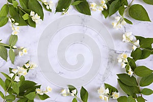 Jasmine, branches flowers on white marble background. frame design spring floral greeting card, wedding invitation,