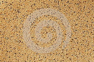 Jasmine brown rice closeup. Organic grain texture