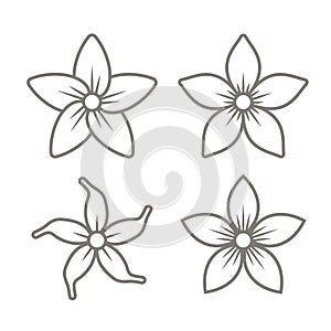 Jasmine Flower Icons Set on White Background. Vector