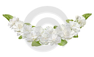 Jasmine flower isolated on white background, symbol of Mother`s day in thailand