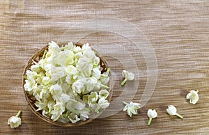 Jasmine flowers