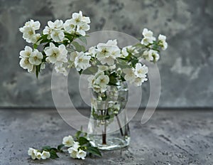 Jasmine flowers in a glasse vase