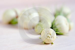 Jasmine flowers grouped on wooden board background photo