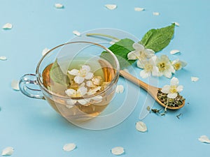 Jasmine flowers and jasmine tea on a blue background