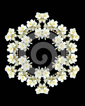 Jasmine flowers kaleidoscope - isolated