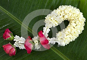 Jasmine garland symbol of Mother`s day in thailand, to offer the monk or buddha