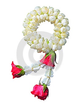 Jasmine garland symbol of Mothers day in thailand on white background with clipping path