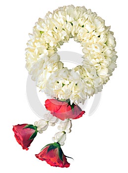 Jasmine garland symbol of Mothers day in thailand on white background with clipping path