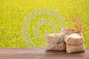 Jasmine rice or rice kernel on nature background