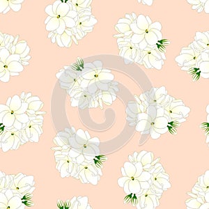 Jasminum sambac - Arabian Jasmine on Light Orange Background. Vector Illustration