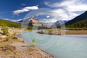 Jasper National Park, Alberta, Canada