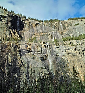 Jasper National Park, Alberta, Canada.