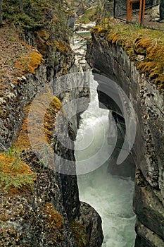 Jasper National Park, Alberta, Canada.