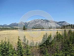 Jasper National Park, Canadian Rocky Mountains, Floodplain of Athabasca River, Alberta, Canada