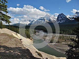 Jasper National Park, Goats and Glacier Overlook above Athabasca River Valley, Canadian Rocky Mountains, Alberta