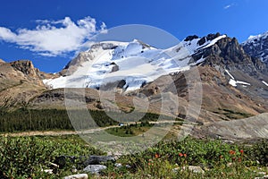 Jasper National Park, North Glacier at Sunwapta Pass in the Canadian Rocky Mountains, Alberta, Canada