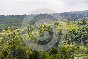 Jatiluwih Rice Terraces, Bali, Indonesia