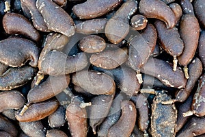 Jatoba do cerrado - West indian locust fruit sement tree seen from top - flat lay photo