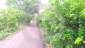 Jatropha plantation at roadside