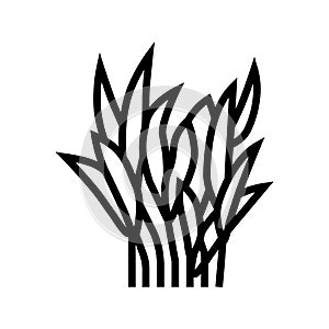 java fern line icon vector illustration