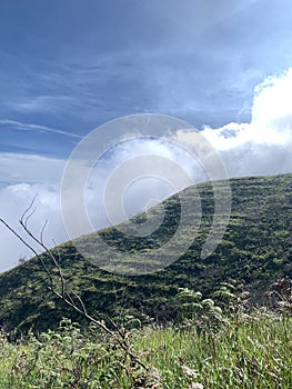 Java Mountain Scenery?Cloudy Mountain Peak?Green Hill LandscapeMountain View from Above