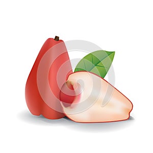 Java Rose Apple Water Guava Fresh Fruit Summer Isolated Vector Illustration