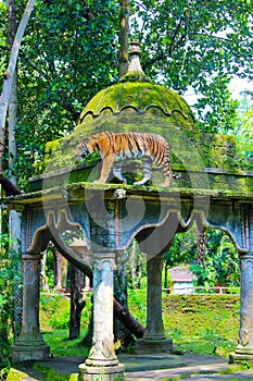 Javanese tiger in Jambatan Buaya photo