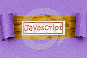 Javascript program development computer code label software script technology
