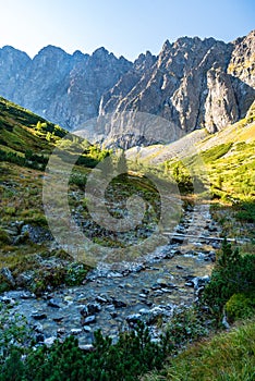 Javorova dolina valley with river and peaks above in High Tatras mountains in Slovakia