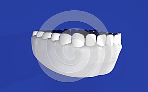 Jaw, cast of teeth, human teeth. Dentistry, periodontist. 3D-rendering photo