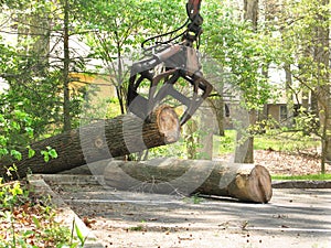 Jaws on arm moving a log