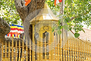Jaya Sri Maha Bodhi in Anuradhapura ,Sri Lanka photo