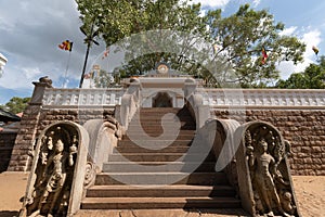 Jaya Sri Maha Bodhi is a sacred fig tree in the Mahamewna Gardens, Anuradhapura, Sri Lanka.It was planted in 288 BC, and is the