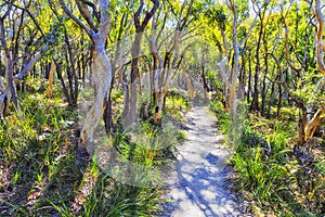 JBay gumtree track light