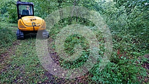 JCB Digger In Forest