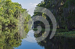 Jean Lafitte National Park Wilderness in Louisiana