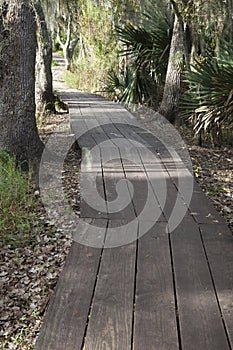 Jean Lafitte Preserve photo