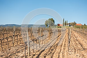 Jean Leon wineries and wineyards