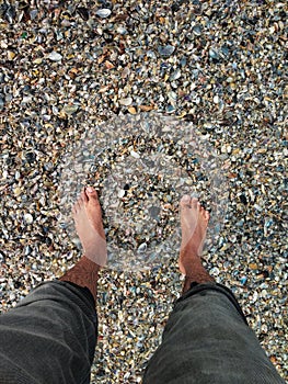 Jeans clad legs standing on a beach on top of broken sea shells