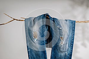 Jeans, Fashion, Fix or DIY Cloth Concept. Jeans Pant Hanging on Dried Tree Branch. Shadow shading on the White Wall. Patch Work