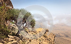 Jebel Samhan, Oman