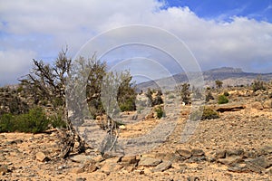 Jebel Shams photo