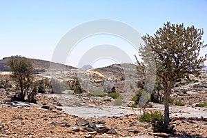 Jebel Shams, is said to be the most beautiful canyon in the world. Oman