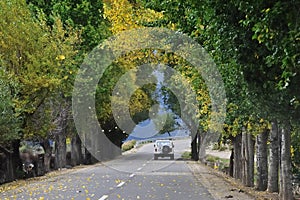 Jeep on autumn road