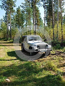 Jeep on a country summer road