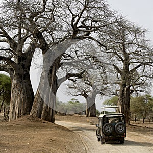 Jeep on dirt road