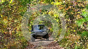 Jeep Driving Down Dirt Road in Woods